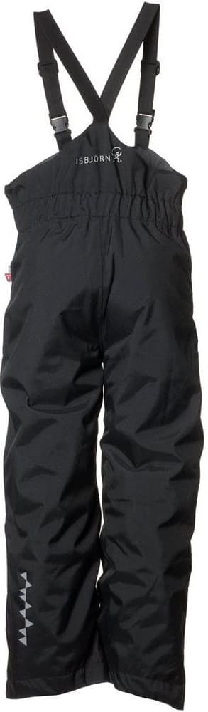 Powder Winter Pant Black, view: 1