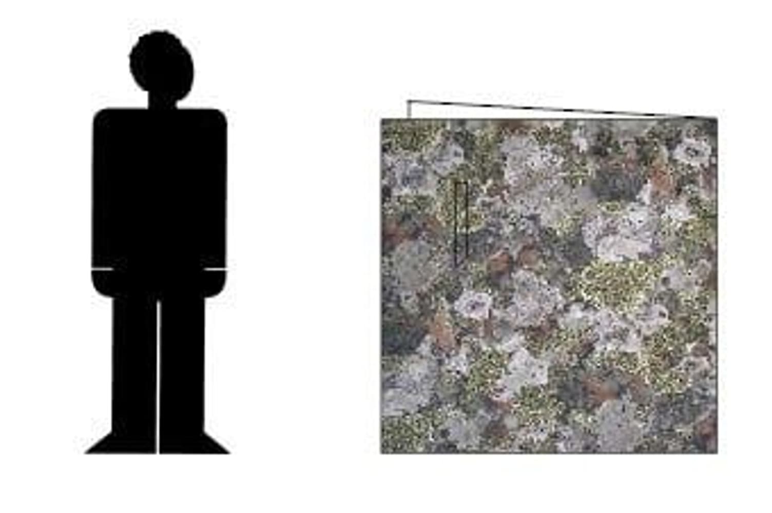 Thermo Forest, view: 1