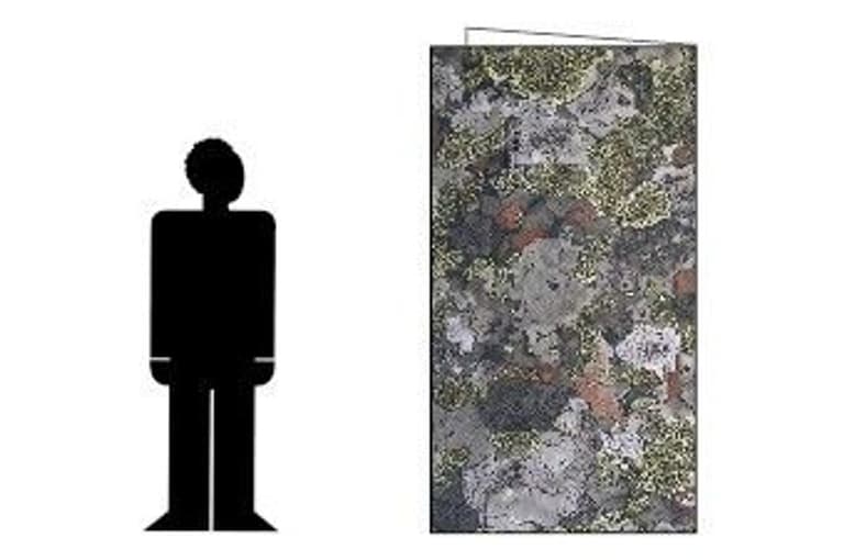 Hunter Forest, view: 3