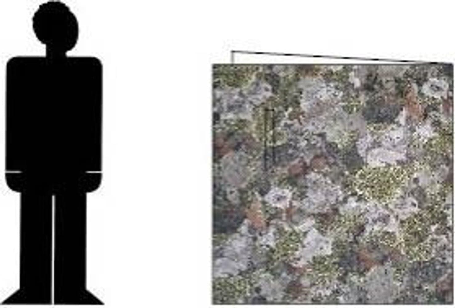 Original Forest, view: 1