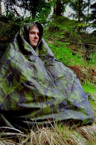 King Size Forest, view: 1