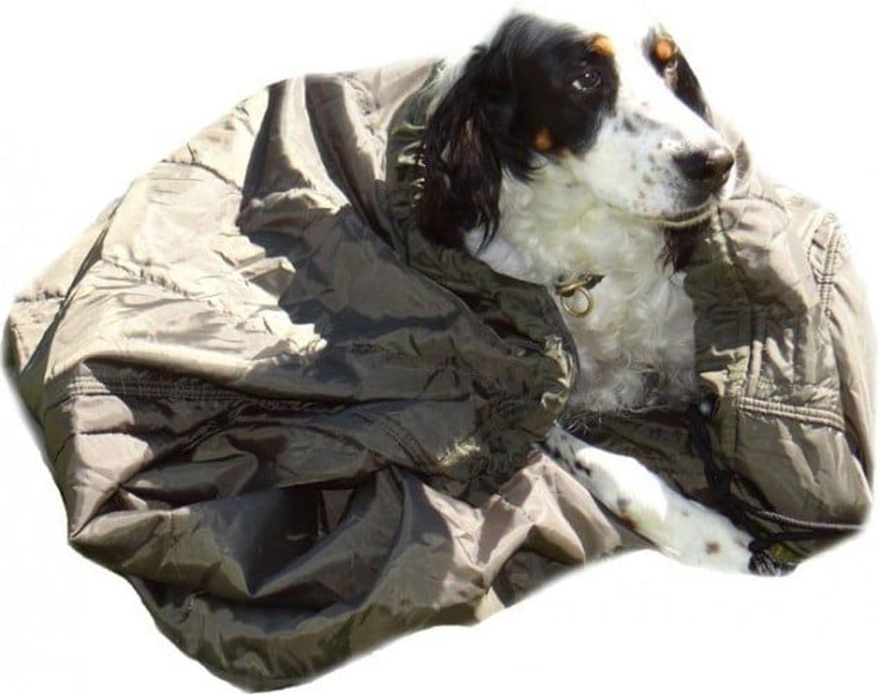 Tunturiviitta Koiralle PrimaLoft Eriste, view: 1