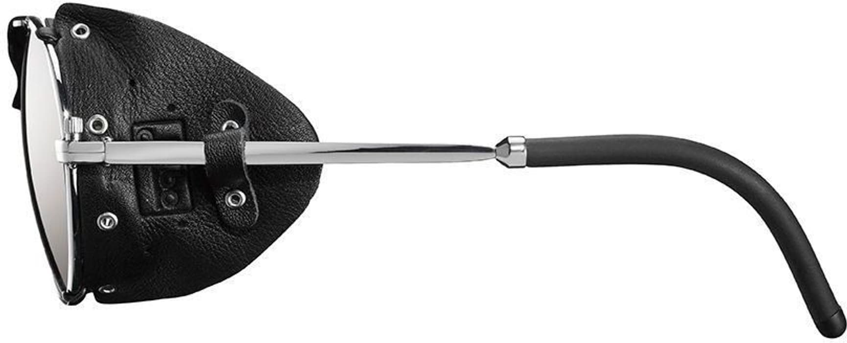 Cham Spectron 4 aurinkolasit, hopea/musta, view: 1