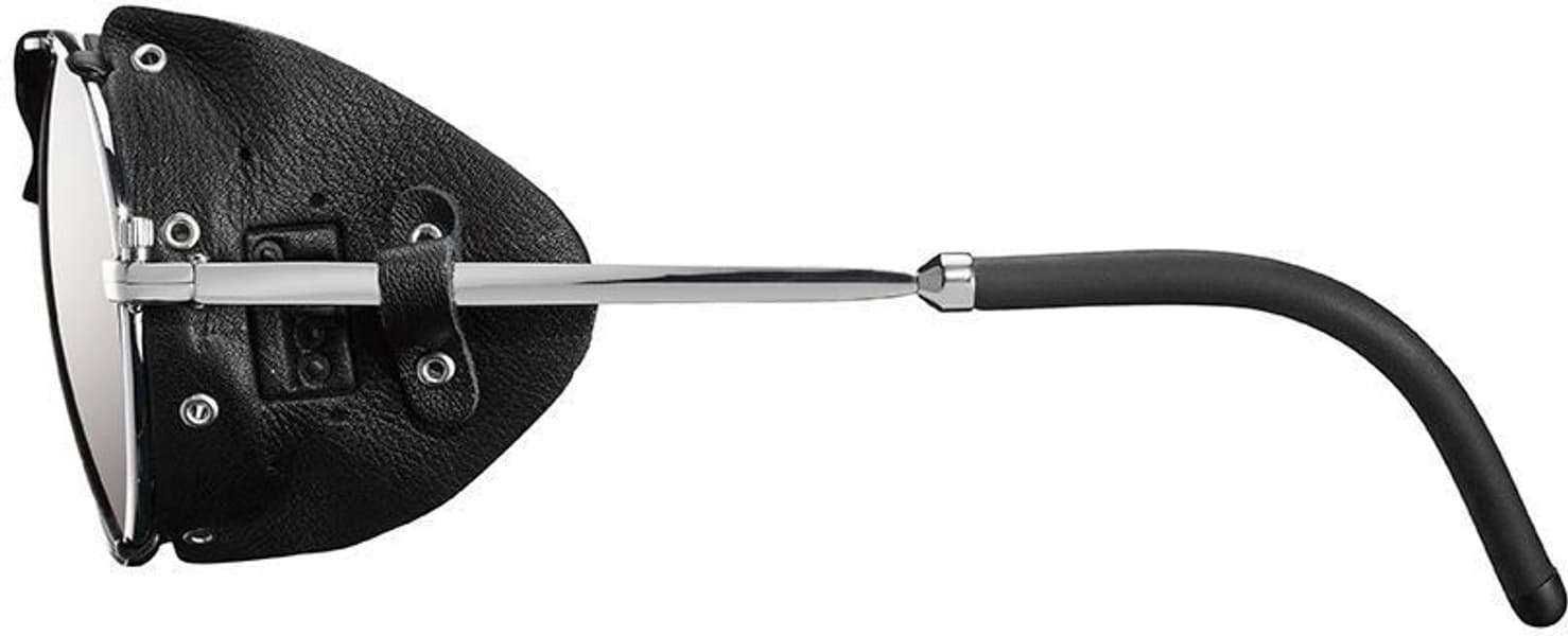 Cham Spectron 4 aurinkolasit, hopea/musta, view: 1