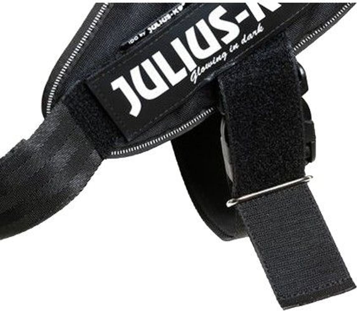 Julius-K9 IDC Power -valjaat turvalukolla - L, view: 1