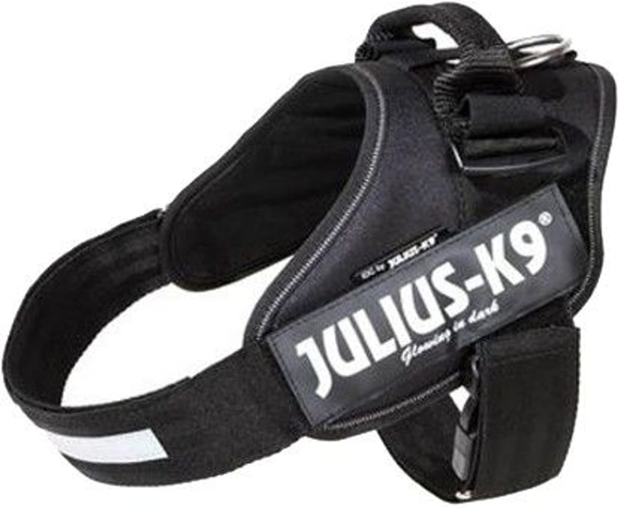 Julius-K9 IDC Power -valjaat turvalukolla, view: 0