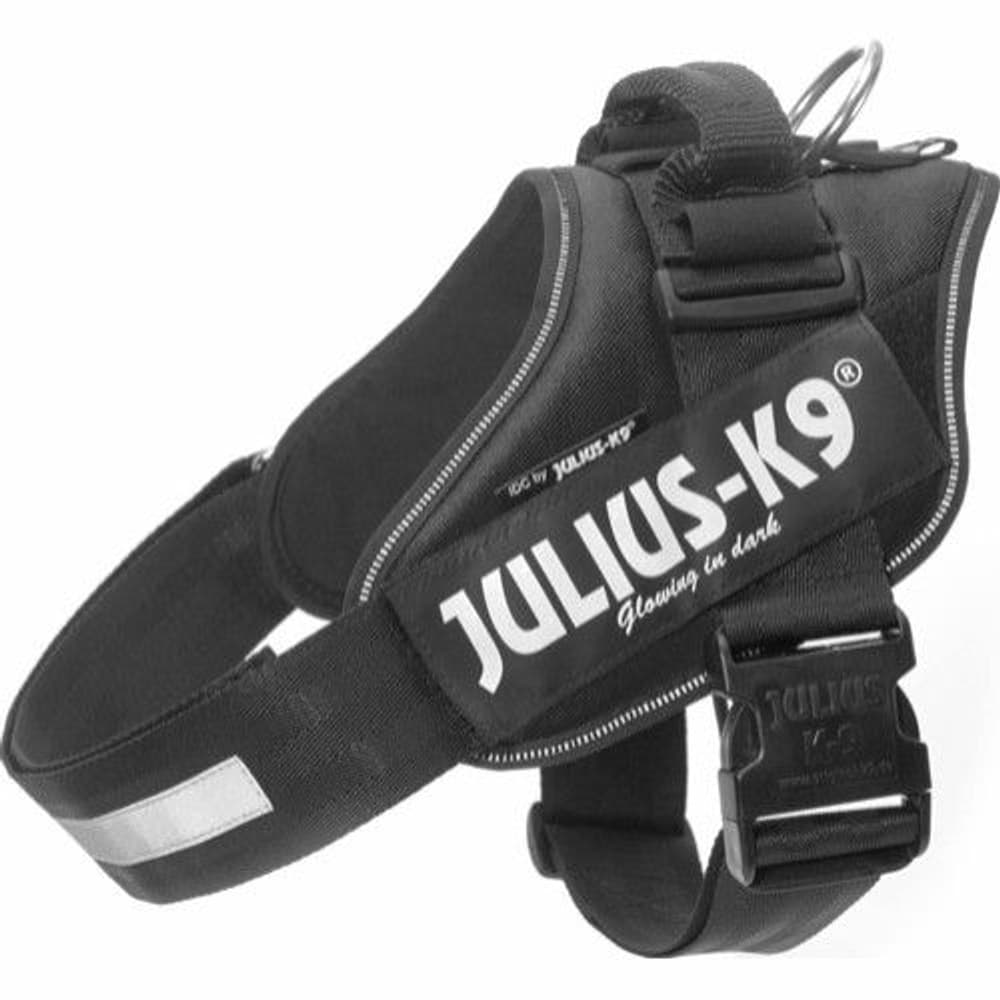 Julius-K9 IDC Power -valjaat (63-85 cm), view: 0