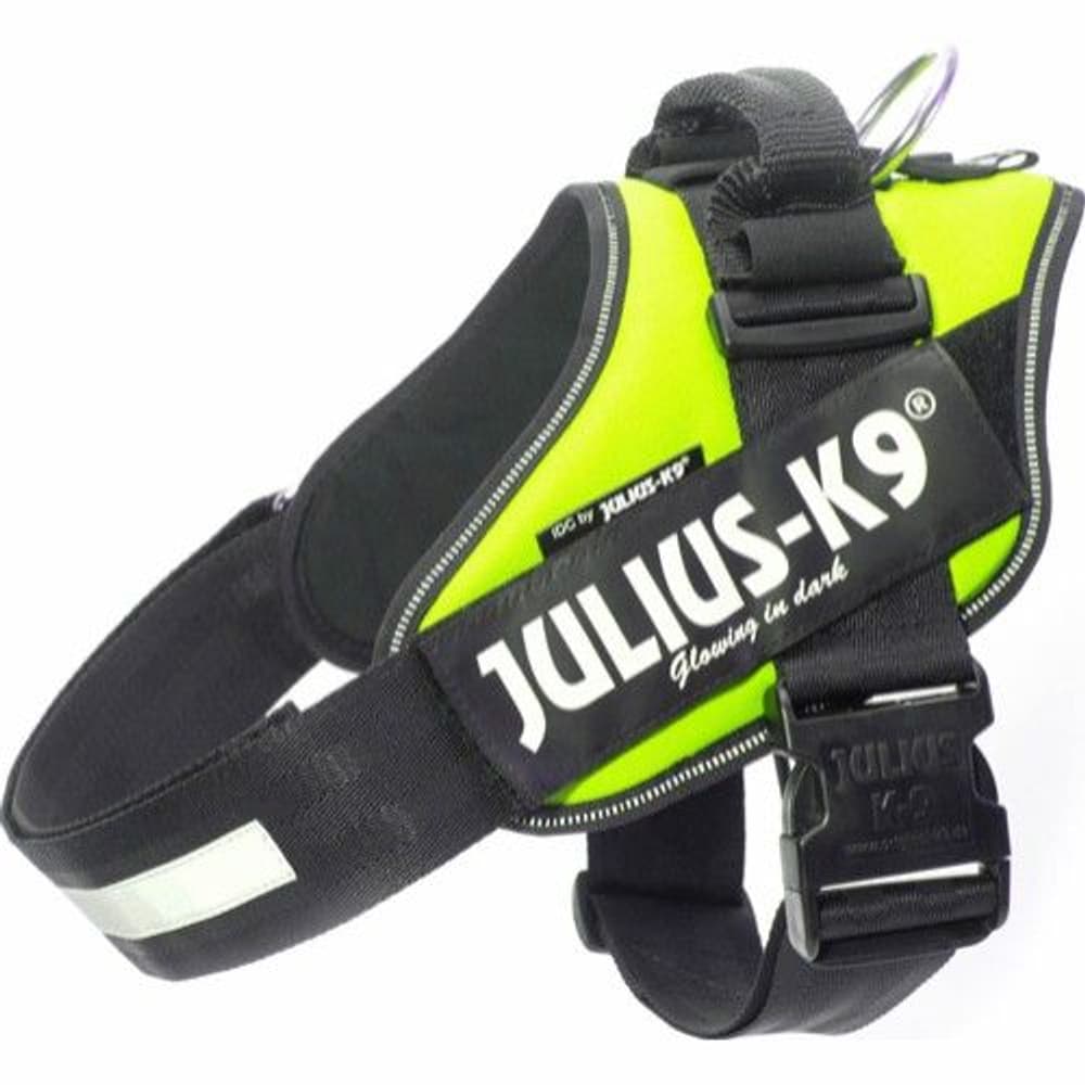 Julius-K9 IDC Power -valjaat (71-96 cm), view: 1