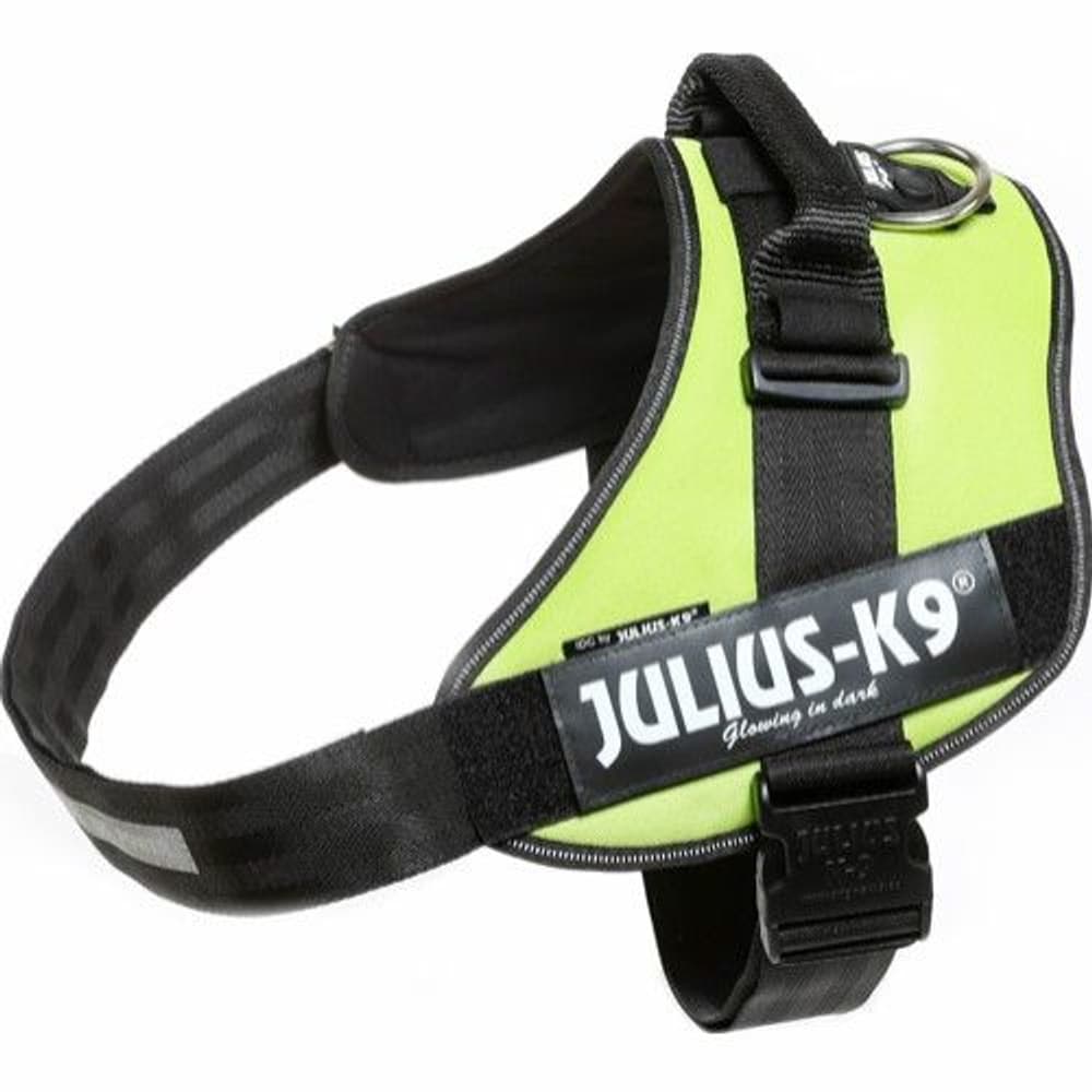 Julius-K9 IDC Power -valjaat (82-115 cm), view: 1