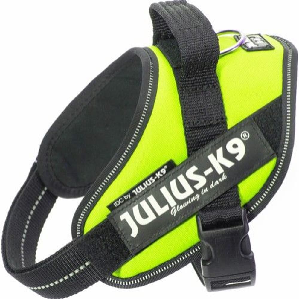 Julius-K9 IDC Mini -valjaat (49-67 cm), view: 1