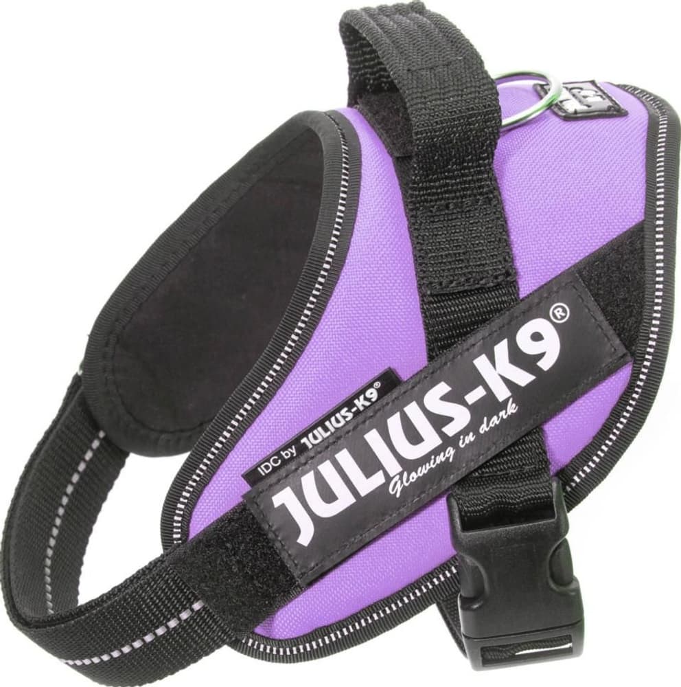 Julius-K9 IDC Mini -valjaat (49-67 cm), view: 8