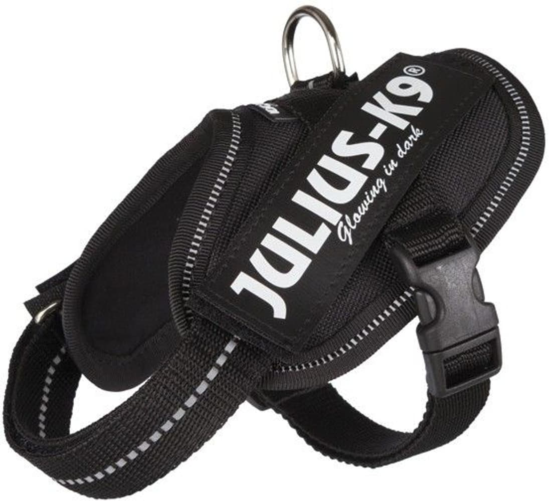 Julius-K9 IDC-Valjaat Baby 2 (33-45 cm) Useita värejä, view: 0
