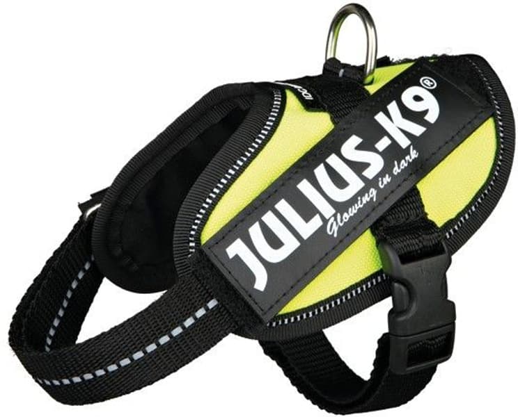 Julius-K9 IDC-Valjaat Baby 2 (33-45 cm) Useita värejä, view: 2