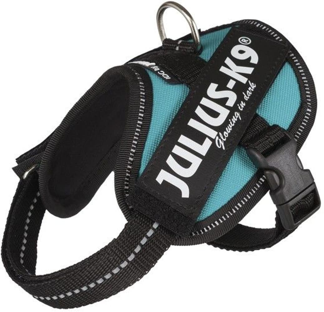 Julius-K9 IDC-Valjaat Baby 2 (33-45 cm) Useita värejä, view: 3