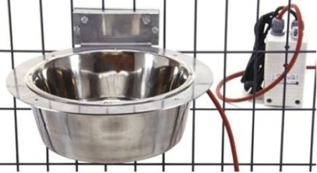 lämmitettävä koiran juomakuppi tarhan sisäpuolelle, view: 0