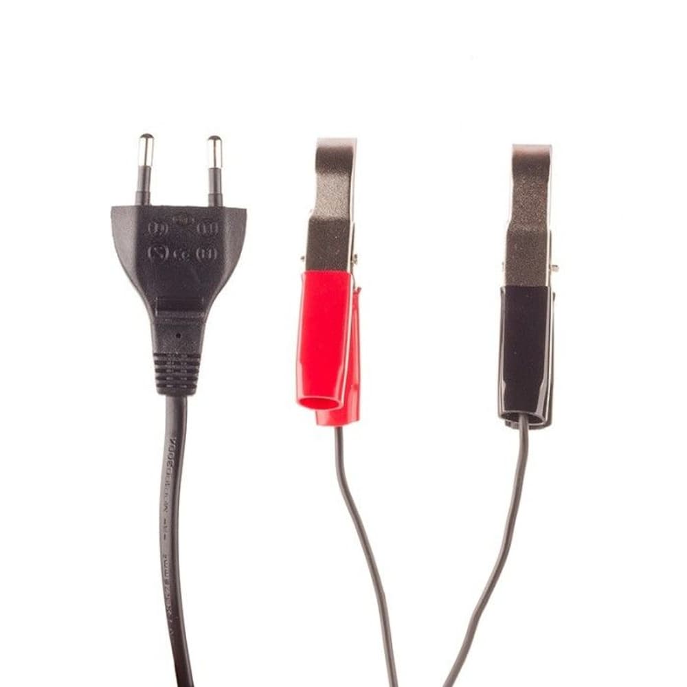 Riistakameran lyijyhappoakkulaturi 2-12 V, view: 0