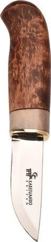 Karesuando Giron Ruskea, view: 0