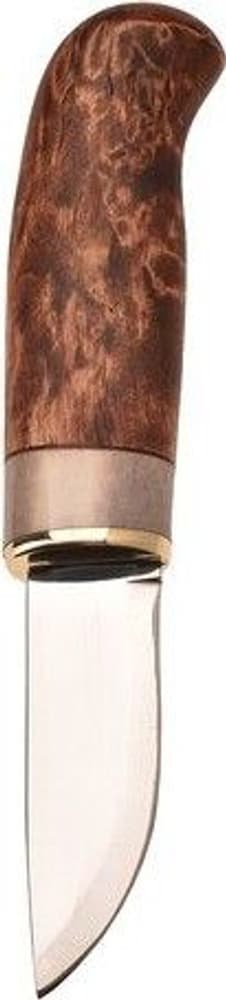 Karesuando Giron Ruskea, view: 1