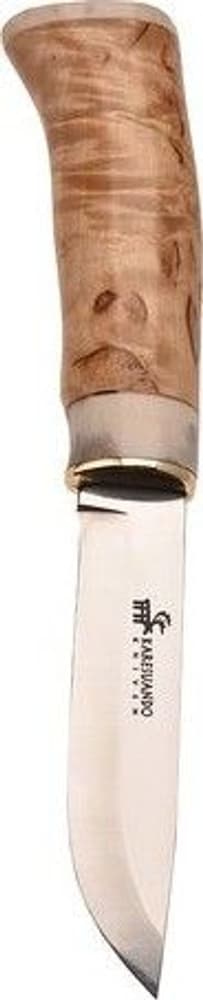 Karesuando Räven, view: 0