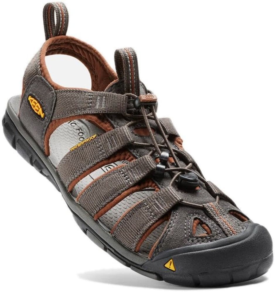 Clearwater CNX -miesten sandaalit, Raven/Tortoise Shell, view: 2