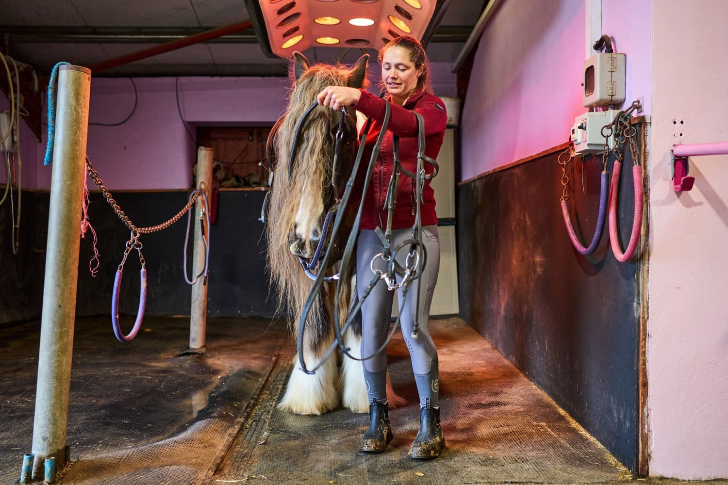 Wear Jodhpur kenkä, Black, view: 5