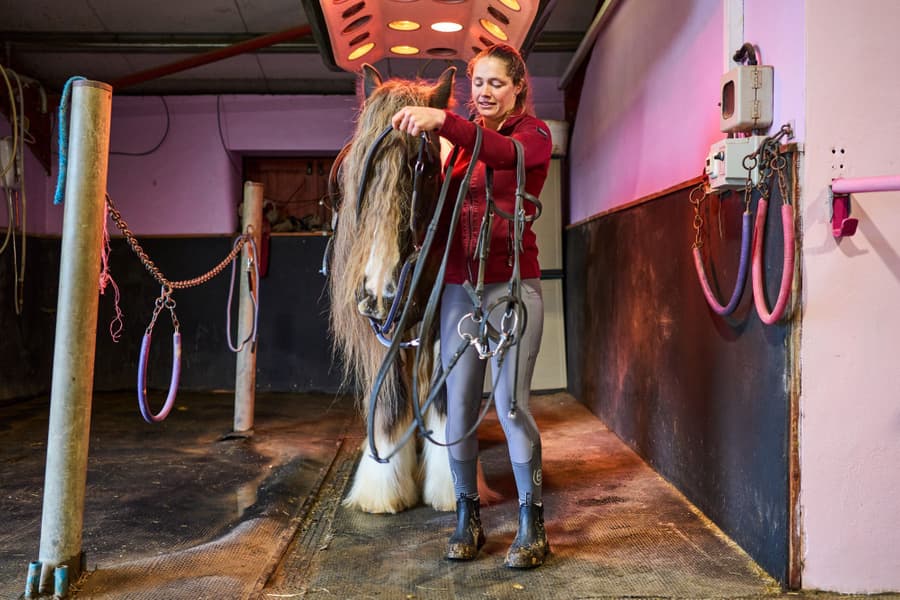 Wear Jodhpur kenkä, Black, view: 5