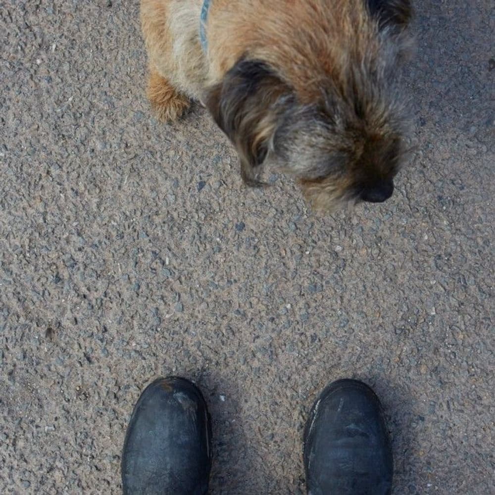 Excursion Ankle Unisex Musta, view: 7