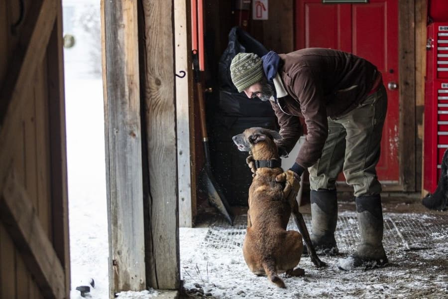 Arctic Ice AGAT High talvisaappaat, Unisex, Black, view: 6