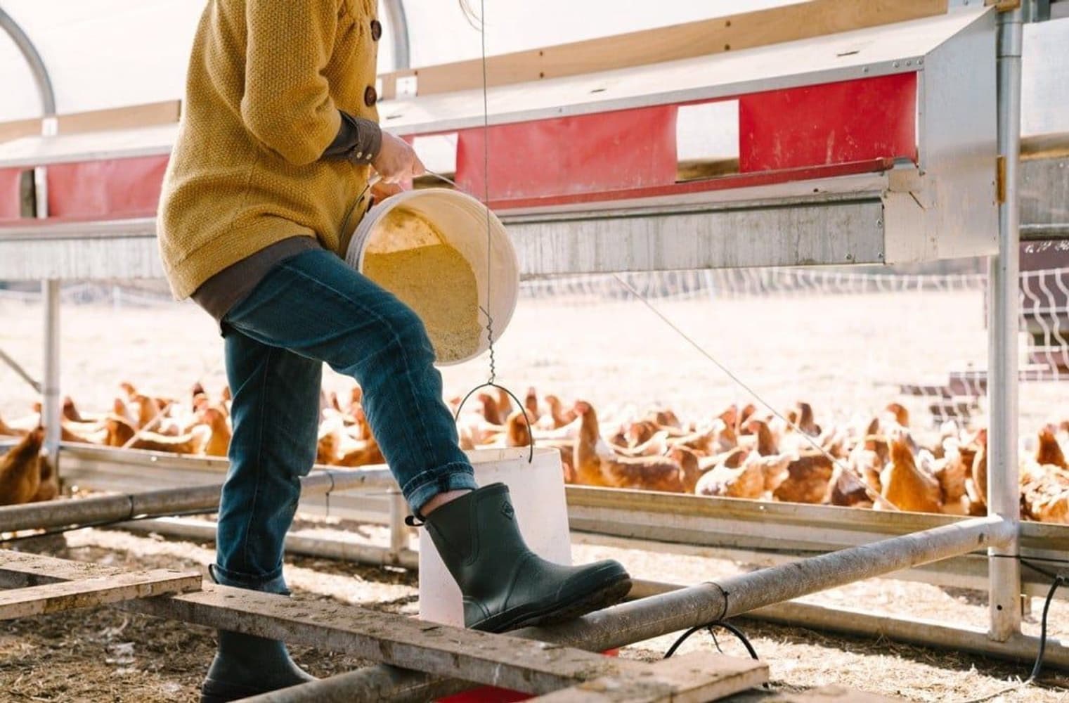 Originals Pull On Mid saappaat, musta, view: 7