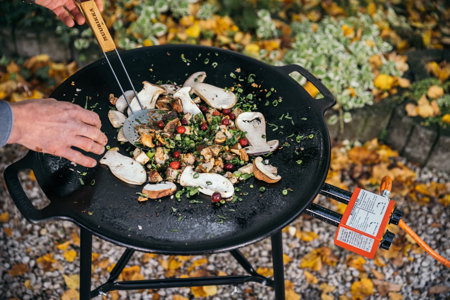 PRO -setti, 58 cm, view: 5