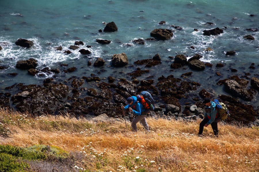 Terraframe 65 rinkka, Black, view: 5