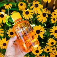 Bottle 0,5L Narrow Mouth Sustain Seafoam - view: 3