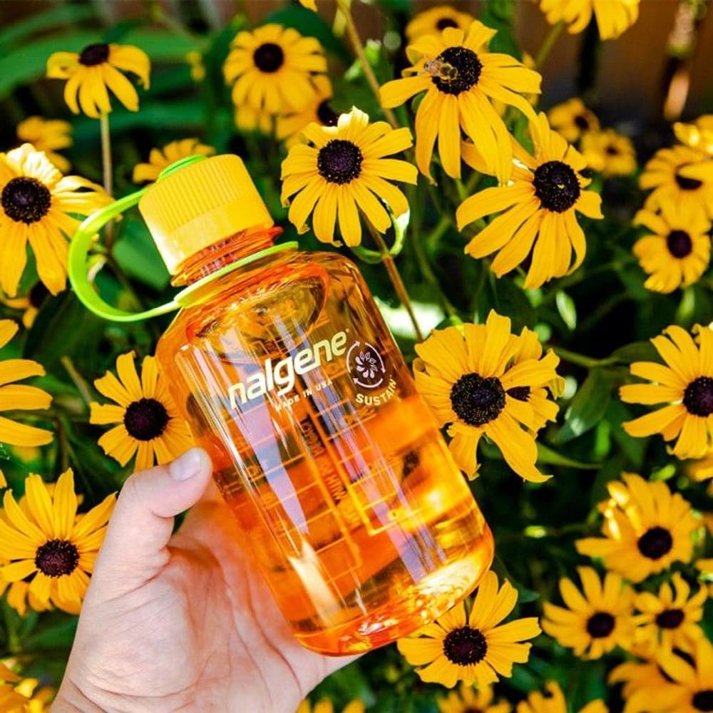 Bottle 0,5L Narrow Mouth Sustain Cotton, view: 3