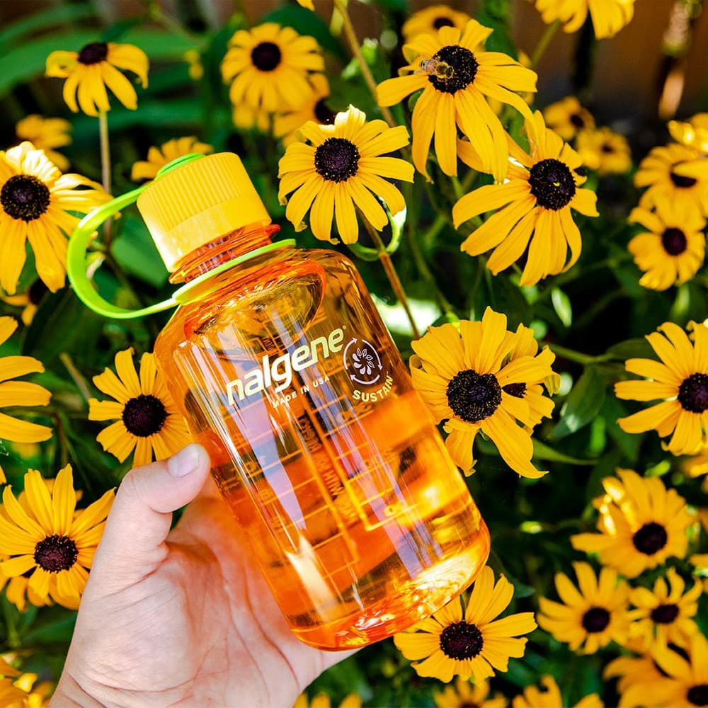 ympäristöystävällinen pullo, 0,5 L, Jade Sustain, view: 4