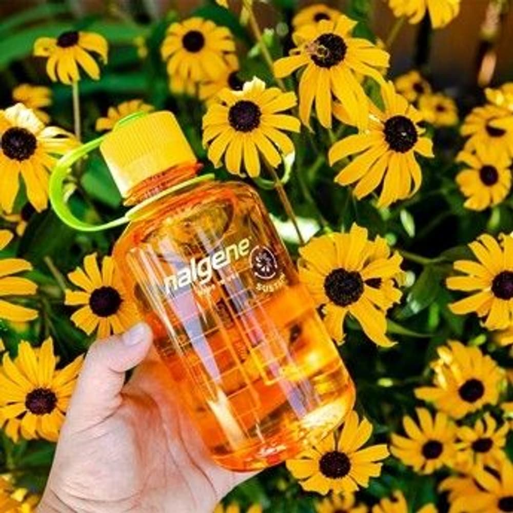 ympäristöystävällinen pullo, 0,5 L, sinivihreä, view: 2