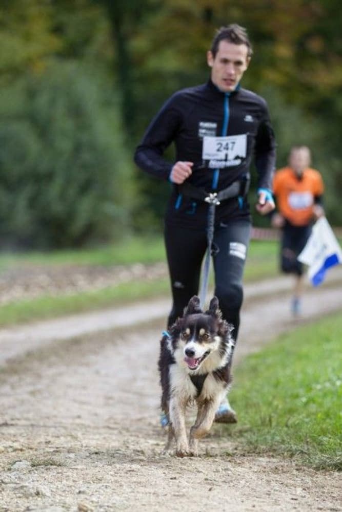 joustohihna 2m, view: 4