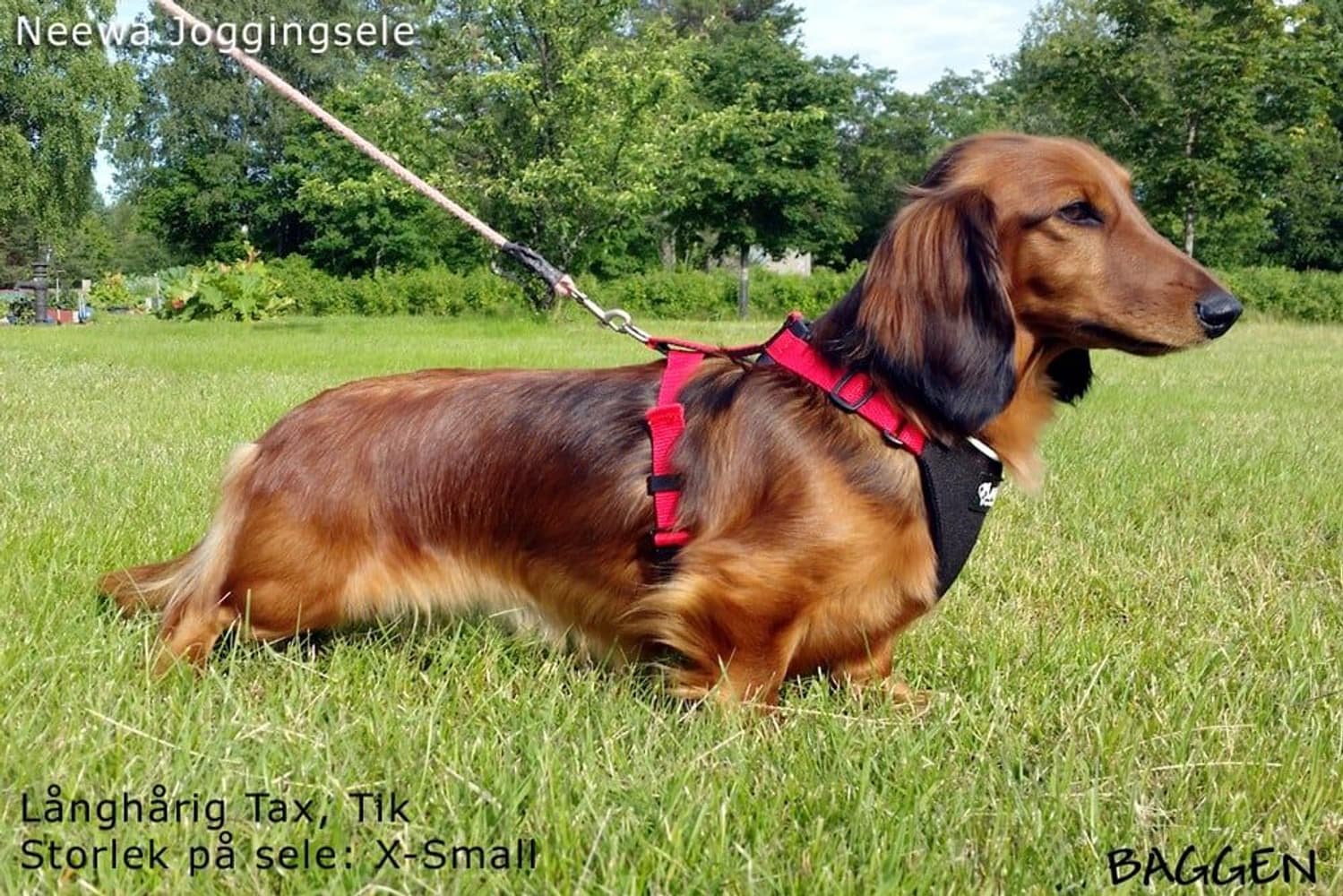 valjaat, punainen, view: 4