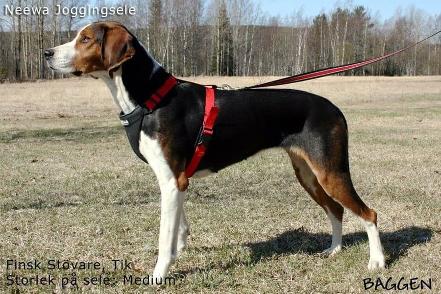 valjaat, punainen, view: 1