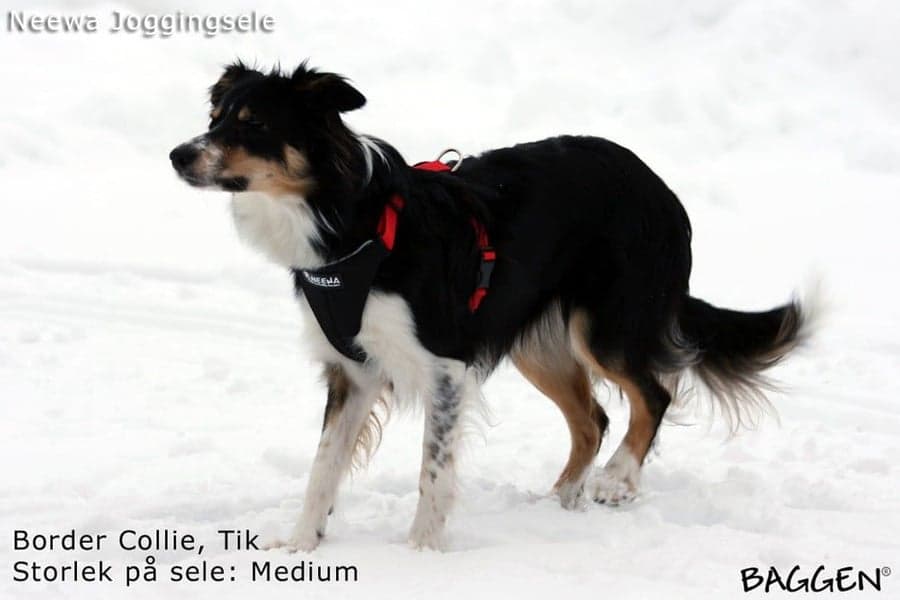 valjaat, punainen, view: 5