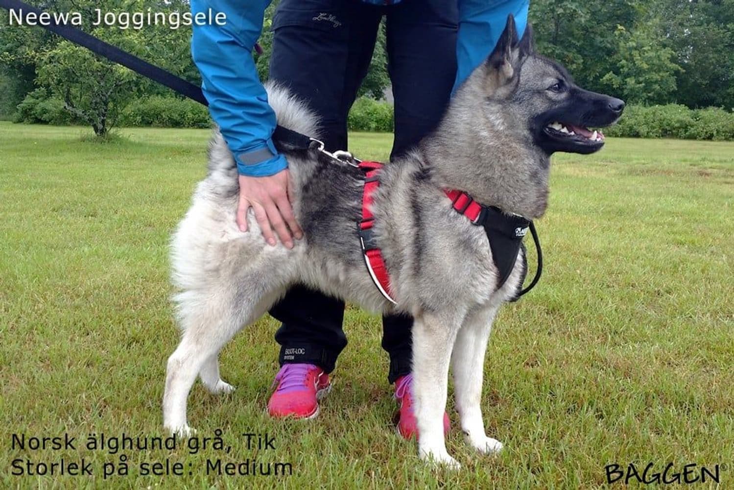 valjaat, punainen, view: 3