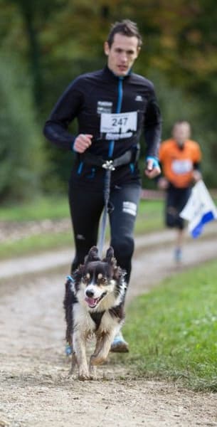 Running Harness Musta, view: 2