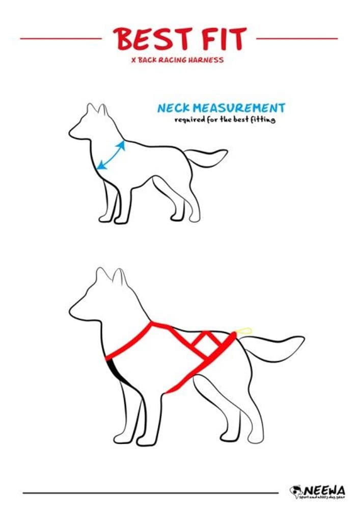 Sled Dog X-Back vetovaljaat, sininen, view: 4