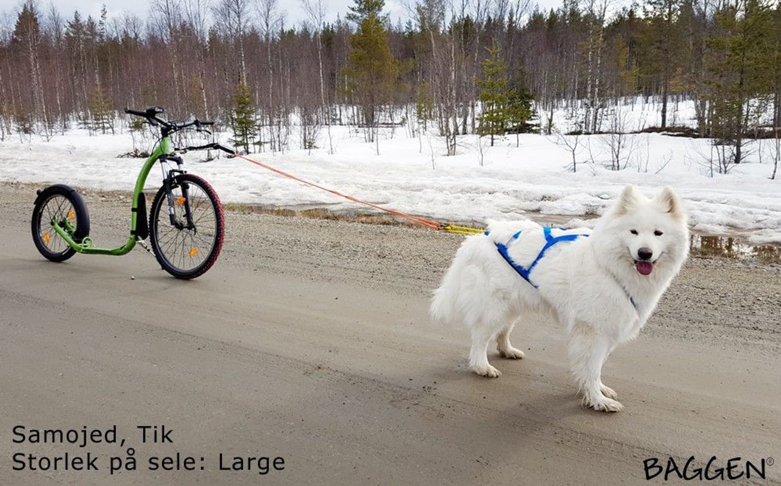 Sled Pro vetovaljaat, sininen, view: 1