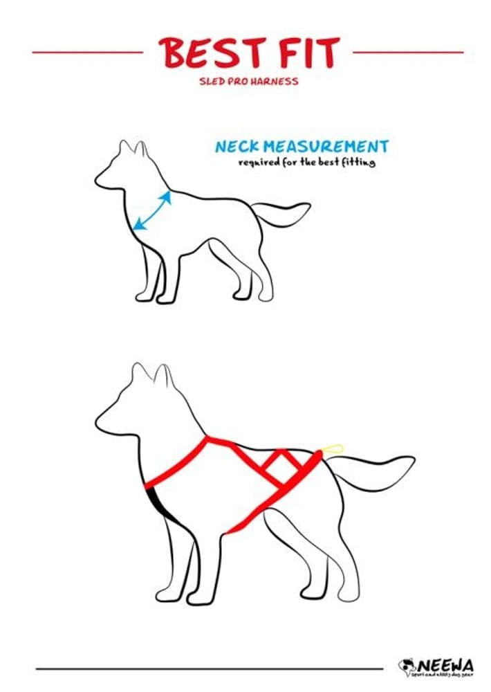 Sled Pro vetovaljaat, sininen, view: 4