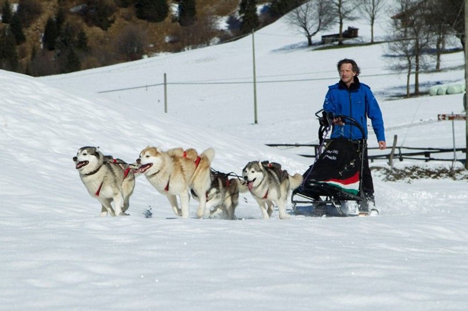 Sled Pro vetovaljaat punainen, view: 5