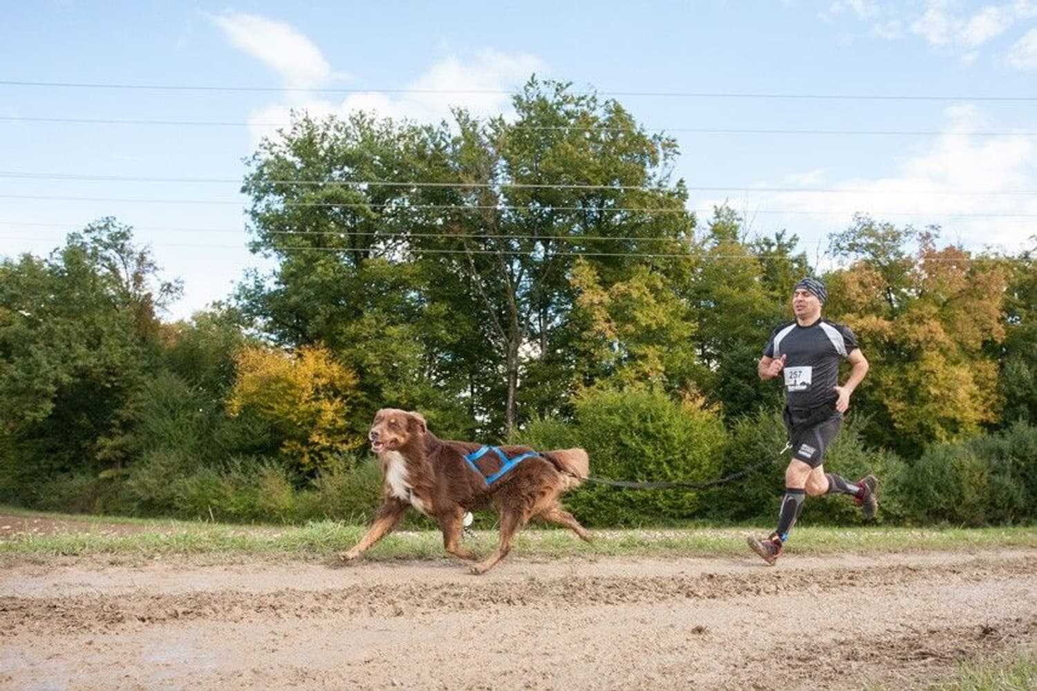 Sled Pro vetovaljaat, sininen, view: 3