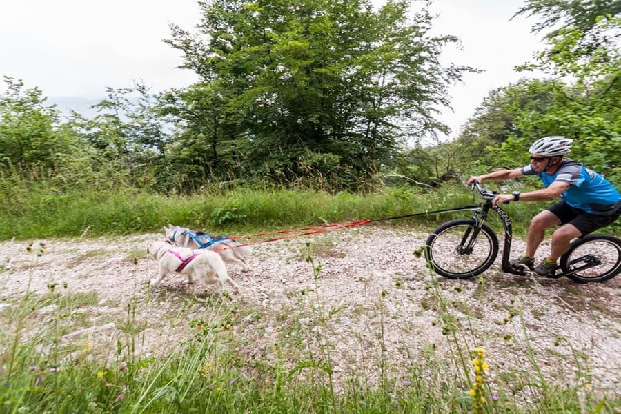 Sled Pro vetovaljaat punainen, view: 2