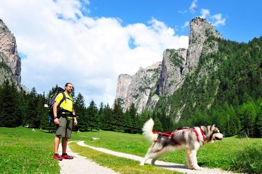 Sled Pro vetovaljaat punainen, view: 4