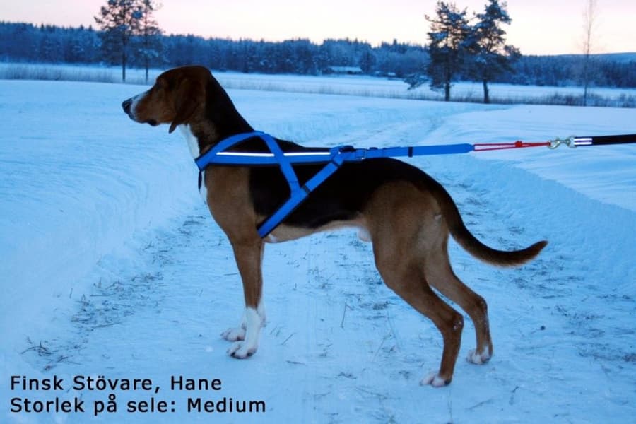 säädettävät vetovaljaat, sininen, view: 6