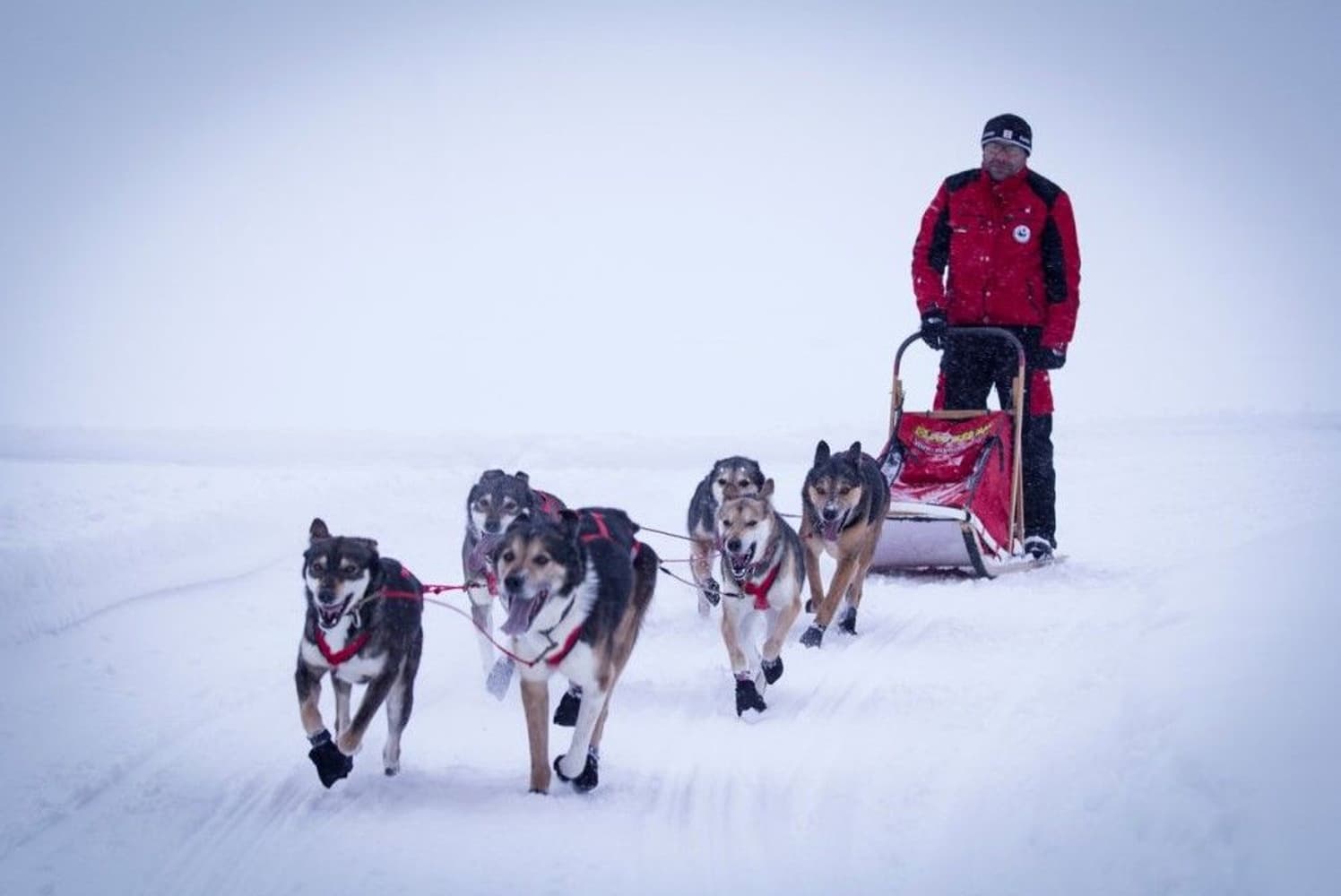 X-Back Racing vetovaljaat, punainen, view: 5